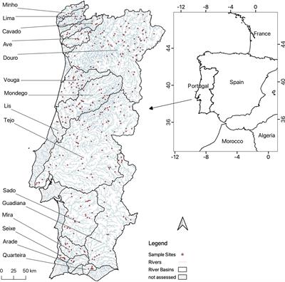 Assessing and Predicting the Distribution of Riparian Invasive Plants in Continental Portugal